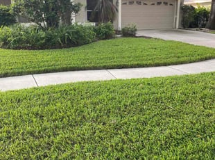 Erin O.'s grass maintenance service result