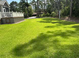 Christopher R.'s grass maintenance service result