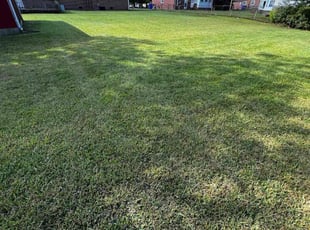James B.'s grass cutting service result