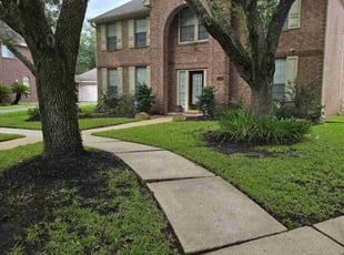 Mateusz Z.'s lawn maintenance service result