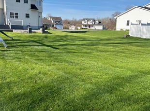 Matty E.'s lawn service service result