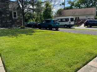 Alan K.'s lawn service service result