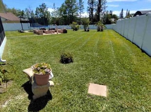 Madeline C.'s yard care service result