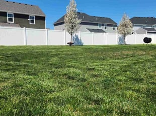 Cameron B.'s lawn maintenance service result