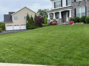 Ruth G.'s turf care service result