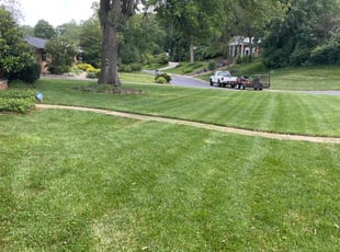 Chris G.'s grass maintenance service result