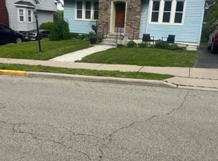 Sandra S.'s turf care service result