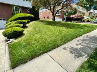 Brandon S.'s lawn care services service result