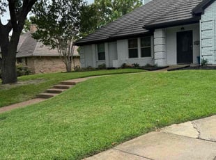 Marcy W.'s turf care service result