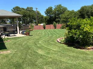 Leon M.'s lawn maintenance service result