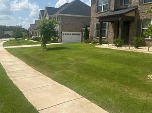 Junior B.'s grass cutting service result