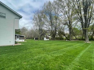 Janine H.'s lawn maintenance service result