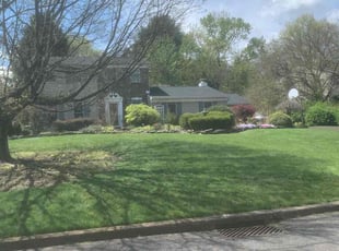 Kirsten R.'s yard maintenance service result