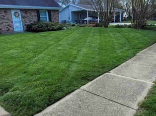 Mikal C.'s lawn maintenance service result