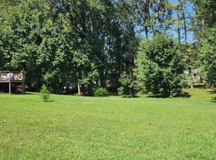 Susie M.'s grass cutting service result