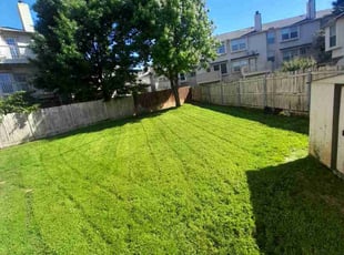 Crystal F.'s turf maintenance service result