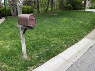 Bruce B.'s lawn care service result