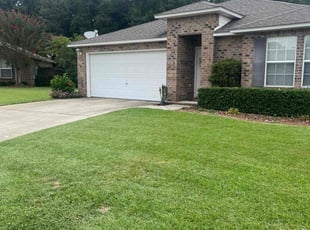 Dorothy T.'s lawn maintenance service result