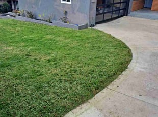 Andrea E.'s turf maintenance service result