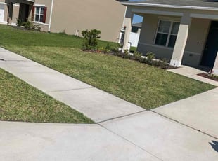 Siva V.'s grass maintenance service result