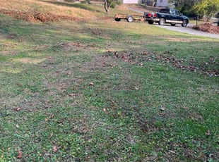 Connie E.'s grass maintenance service result