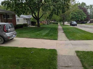Joel R.'s grass cutting service result
