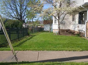 Andrew M.'s grass cutting service result