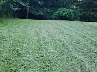 Laura L.'s lawn maintenance service result