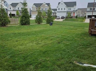 Colby C.'s grass cutting service result