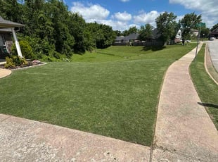 Hanifa S.'s lawn service service result
