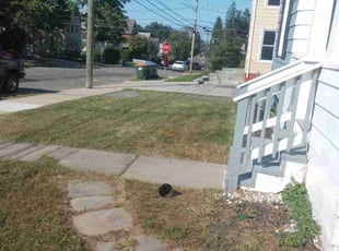 Patti Q.'s grass cutting service result