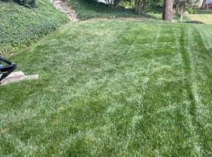 Hannah R.'s turf care service result