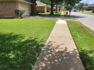 Sue B.'s turf care service result