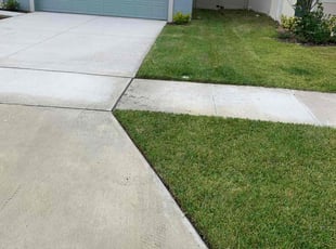 Kim R.'s turf care service result