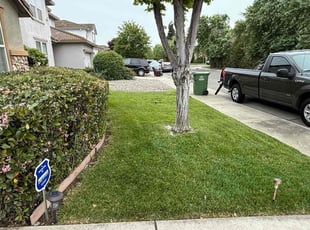 Genalyn D.'s lawn care service result