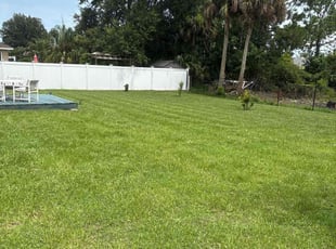Margaret A.'s turf care service result