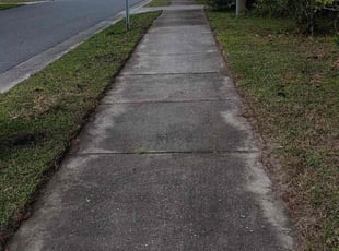 Penelope B.'s grass maintenance service result