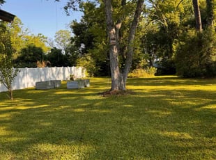 Connie P.'s lawn service service result
