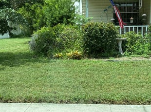 Susan P.'s lawn maintenance service result