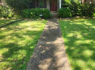Elliott B.'s lawn maintenance service result