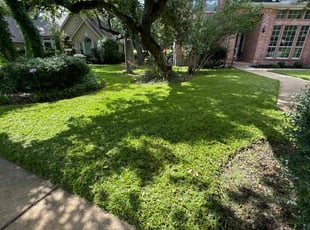 Christopher H.'s turf maintenance service result