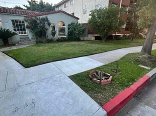 Monique A.'s grass maintenance service result