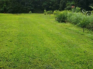 Lindsay S.'s lawn service service result