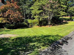 Hassan A.'s lawn care services service result