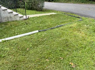 Andrea S.'s lawn care services service result