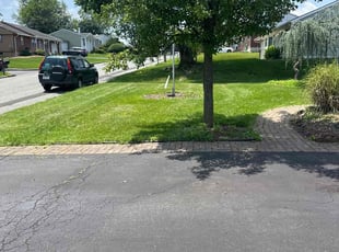 Joshua D.'s grass maintenance service result