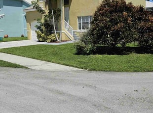 Tiara J.'s grass maintenance service result