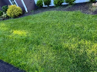 Teresa G.'s grass maintenance service result