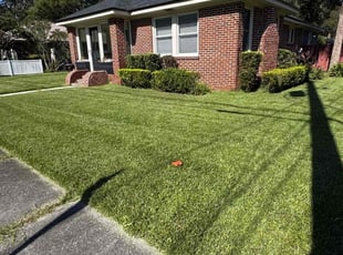 Antonio W.'s lawn care service result