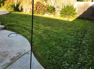 Yvette F.'s lawn care services service result